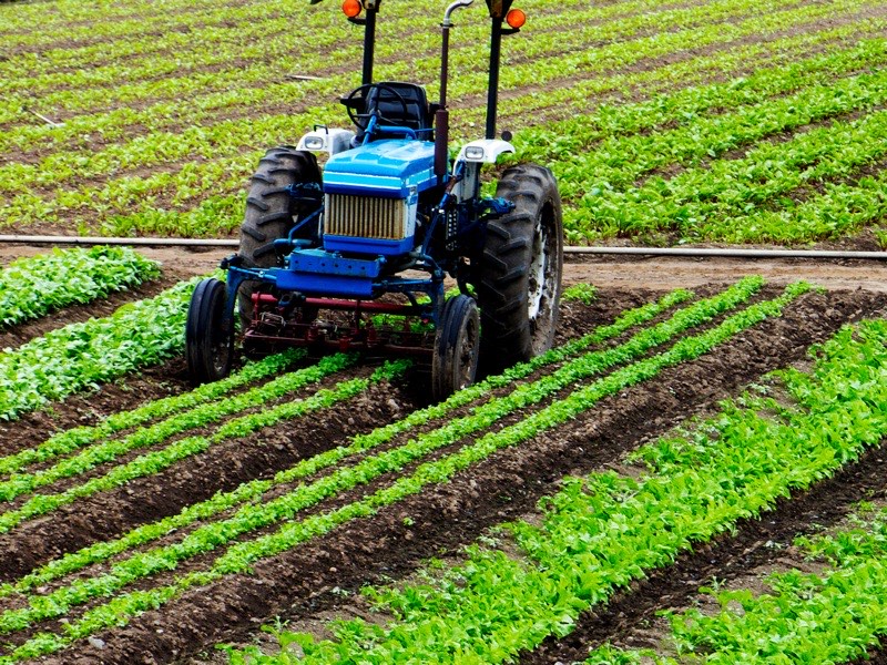 Tractor working a planted field